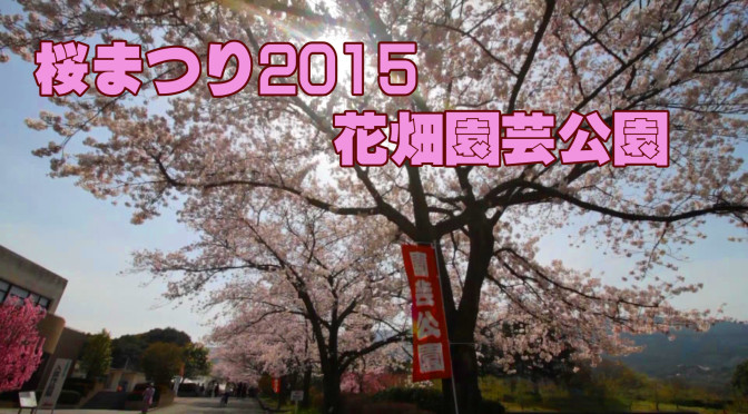 花畑園芸公園で桜を見てきました。