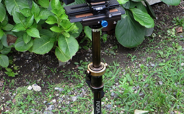 Canon XC10をFlycam C5に乗せてTESTしてみました。