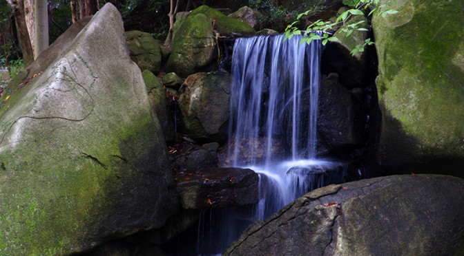 Canon XC10 のシャッタースピードを可変してみた。