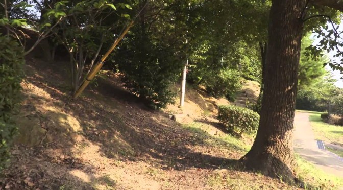 Canon XC10 Dynamic ISと Flycam DSLR Nano HDの組み合わせで撮影してみました。