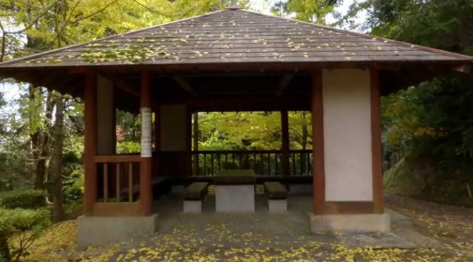 今年も油山の紅葉を見てきました。