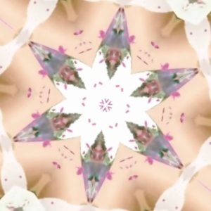 DMMA第四作品目はMarzia Gaggioliの作品「泣くことはありません」をDMMAにしてみました。