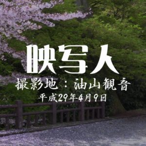 今年の花見期間は短かった。