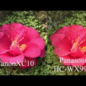CanonXC10とPanasonic HC-WX990Mを並べて４K動画を撮ってみました。