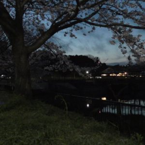 Panasonic HC-WX990Mで夜景の撮影テストをしてみました。