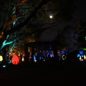 福岡城　チームラボ　城跡の光の祭を見てきました。