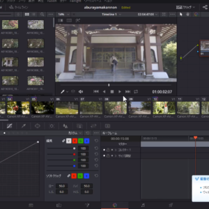 DaVinci Resolve 15 Studioパブリックベータ 2のLUTブラウザを使ってみよう。