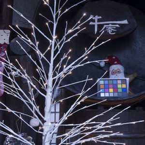 Bmpcc4K撮影の為にDatacolor SpyderCHECKR 24 を買ってみました。