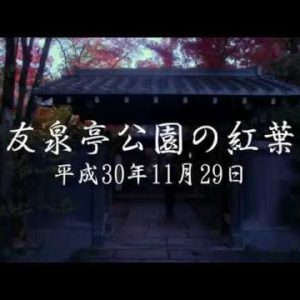 友泉亭公園をBmpcc4Kで撮影してきました。