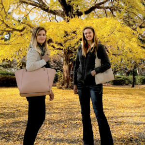 福岡城址の紅葉をBmpcc4Kで撮影しました。