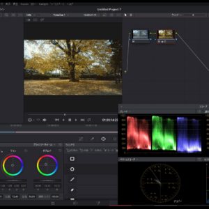 Ｂmpcc4Kで撮影した素材を一番簡単な方法でカラコレします。