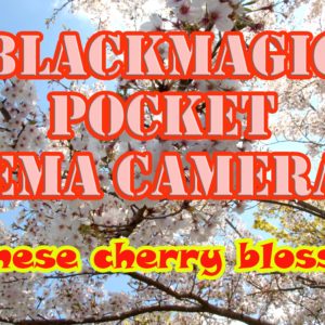 55型の４Kテレビをモニターとして使うデメリット